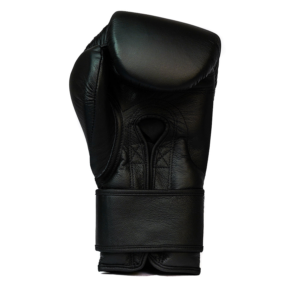 Boxia GBS One Velcro Gloves – classicfightshop