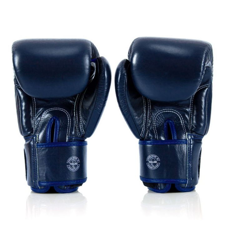 Fairtex X One BGV1 Gloves