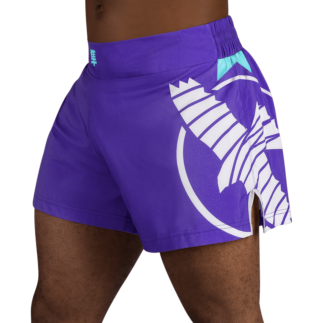 Hayabusa Icon Kickboxing Shorts