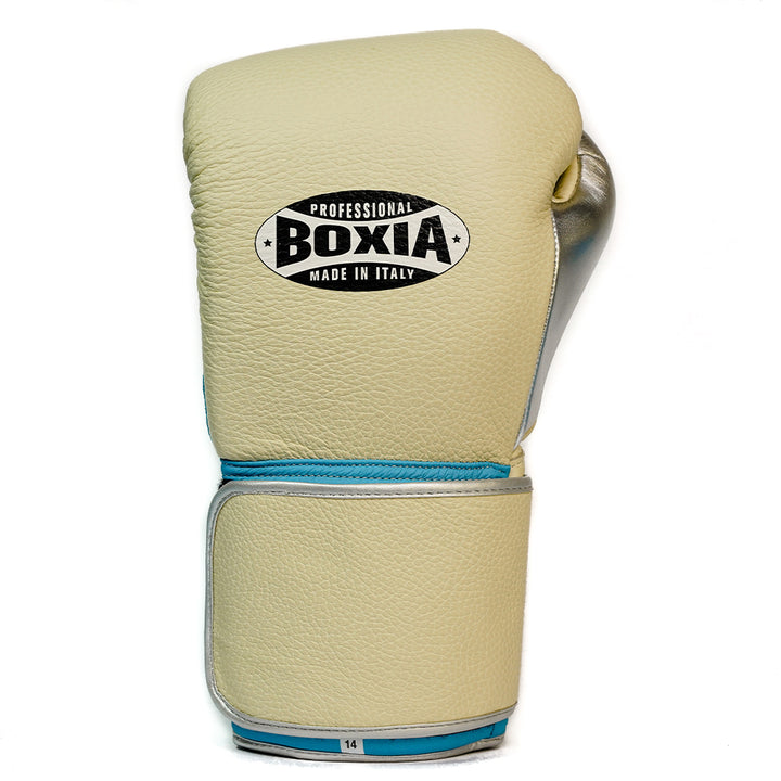 Boxia GBS IV Velcro Gloves