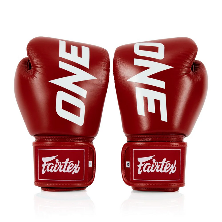 Fairtex X One BGV1 Gloves