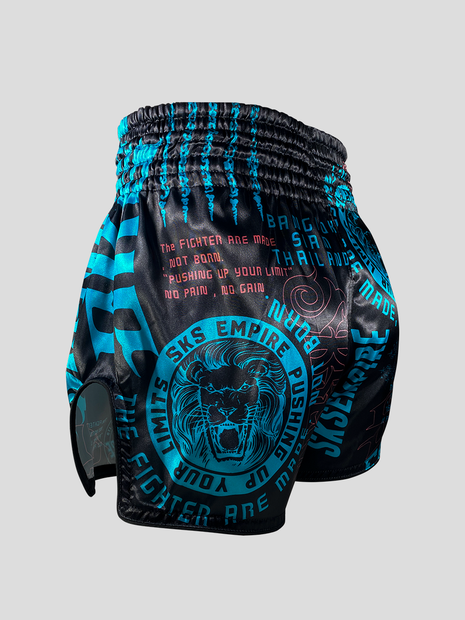 SKS Tiger Sticker Bomb Shorts