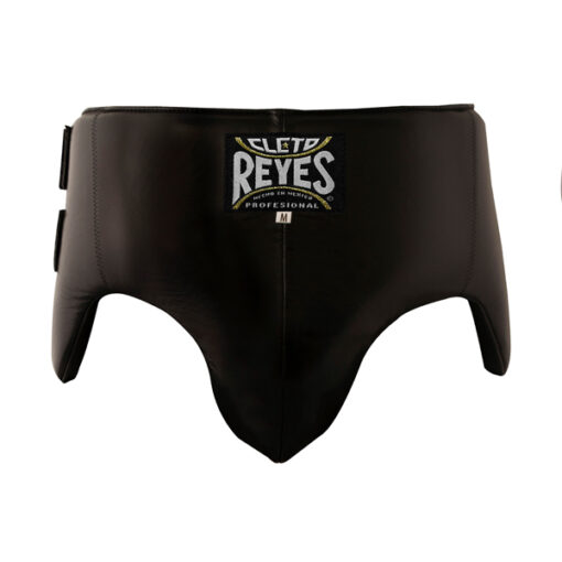Cleto Reyes Groin and Kidney No Foul Protection