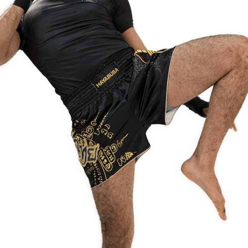 Hayabusa Falcon Muay Thai Shorts